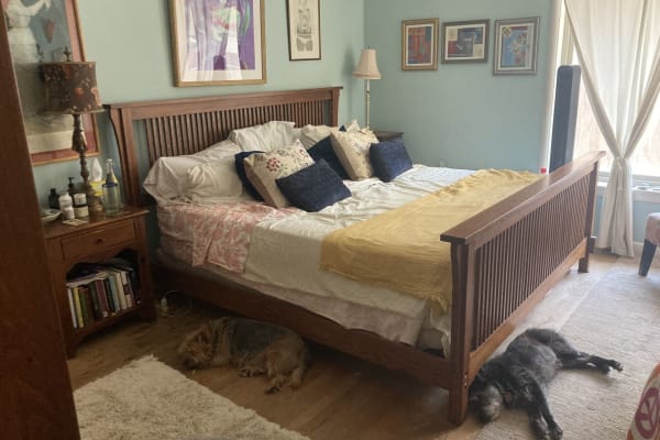 House sit in Dallas, TX, US