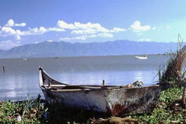 House sit in Ajijic, Mexico