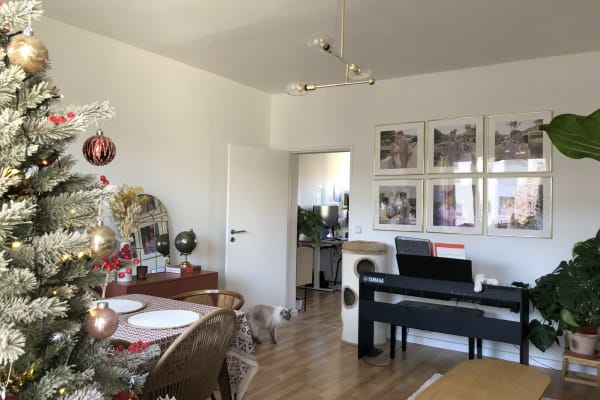 House sit in Berlin, Germany