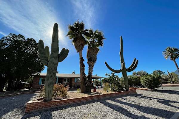 House sit in Tucson, AZ, US
