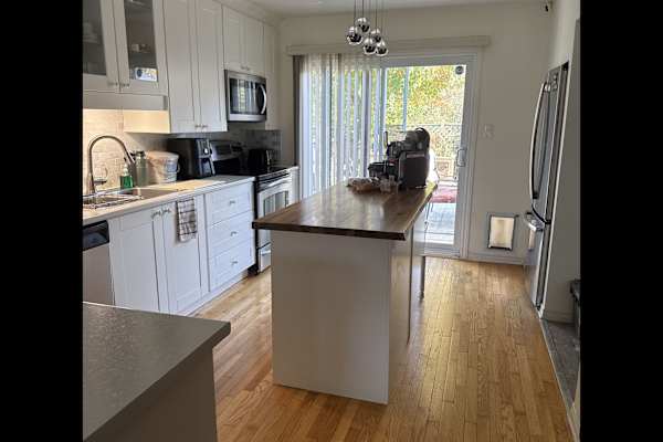 House sit in Ottawa, ON, Canada