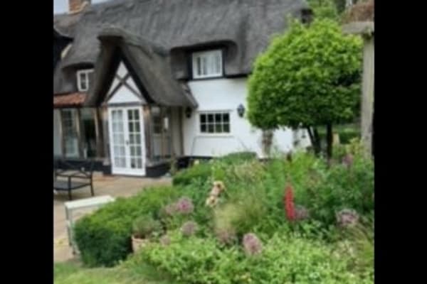 House sit in Cambridge, United Kingdom