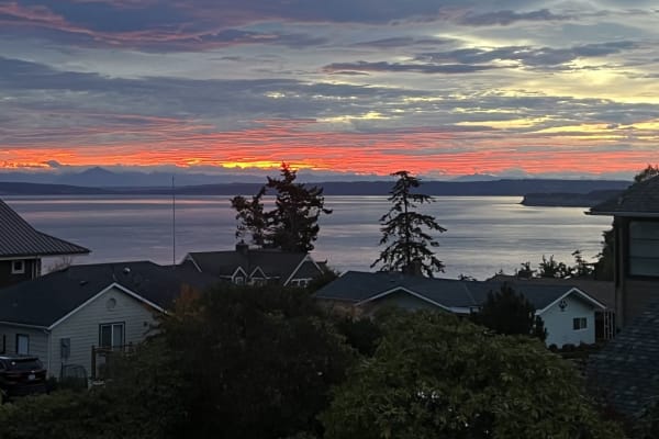 House sit in Port Townsend, WA, US