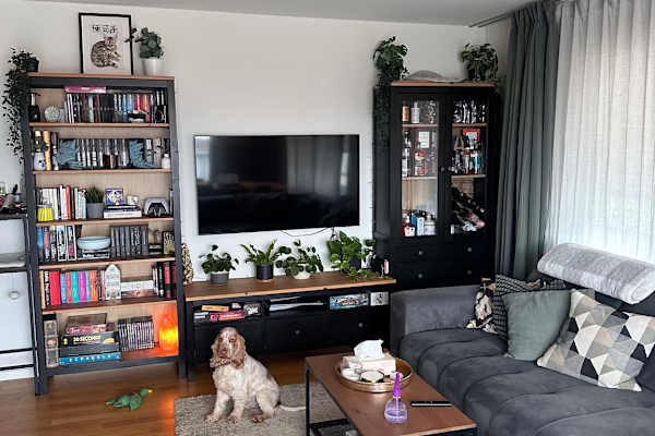 House sit in Winterthur, Switzerland