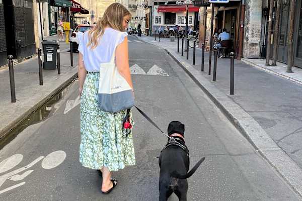 House sit in Paris, France