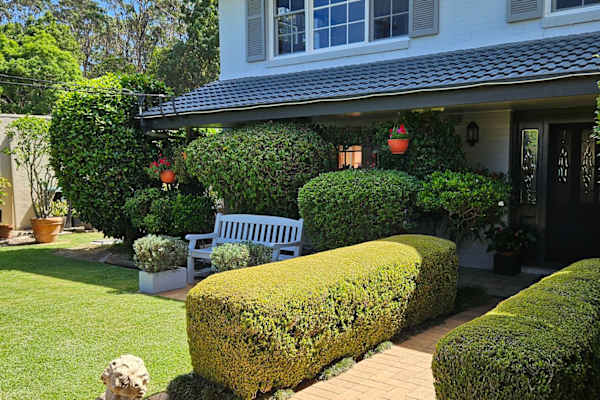 House sit in Sydney, NSW, Australia