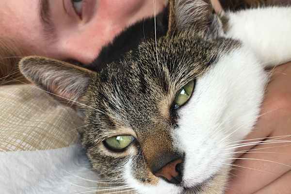 House sit in Herne Hill, United Kingdom