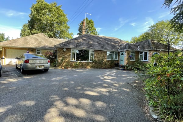 House sit in Farnham, United Kingdom