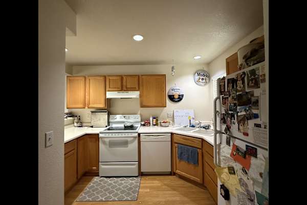 House sit in Fort Collins, CO, US