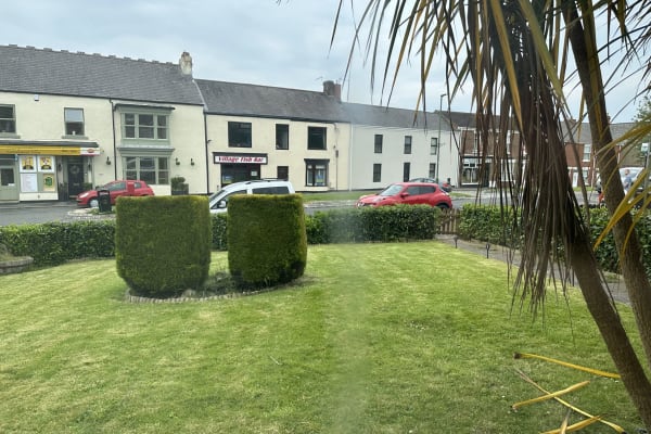 House sit in Peterlee, United Kingdom