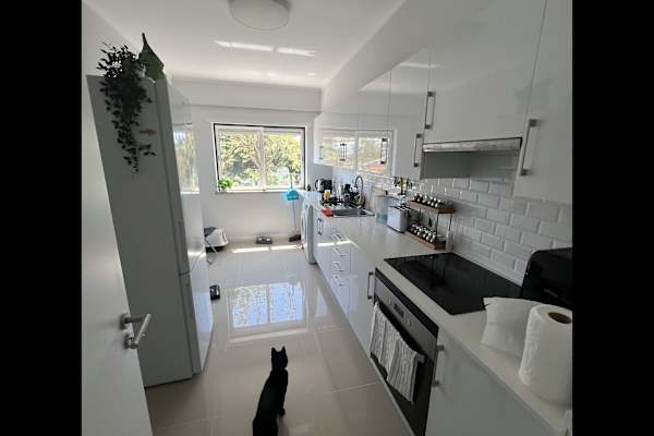 House sit in Costa de Caparica, Portugal