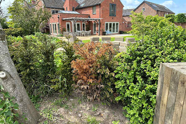 House sit in Chester, United Kingdom