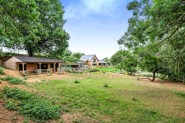 House sit in Woodbridge, United Kingdom