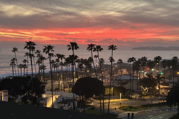 House sit in San Clemente, CA, US