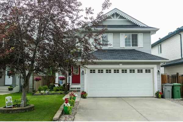 House sit in Edmonton, AB, Canada