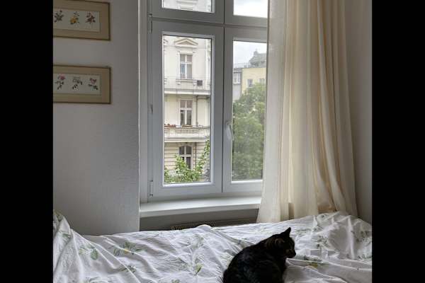 House sit in Berlin, Germany