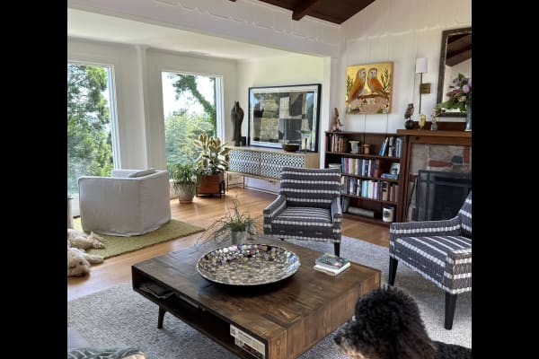 House sit in Mill Valley, CA, US