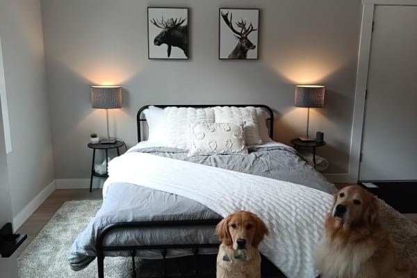 House sit in Sun Peaks, BC, Canada