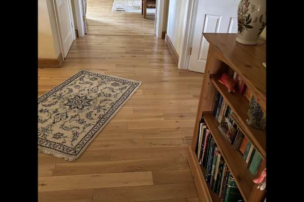 House sit in West Looe, United Kingdom