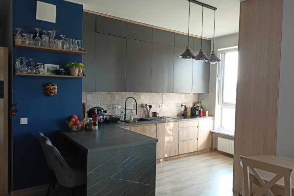 House sit in Warsaw, Poland