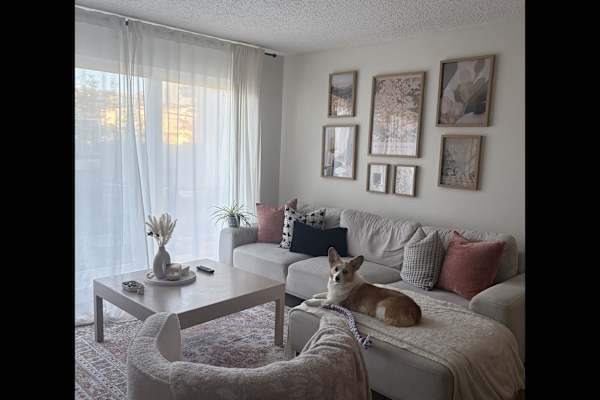 House sit in Calgary, AB, Canada