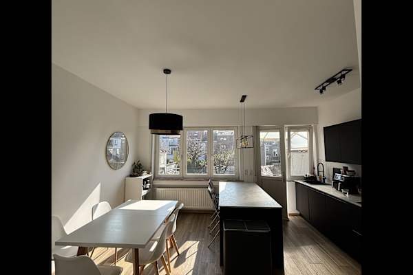 House sit in Brussels, Belgium