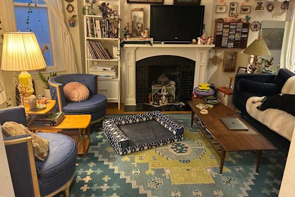 House sit in Chicago, IL, US