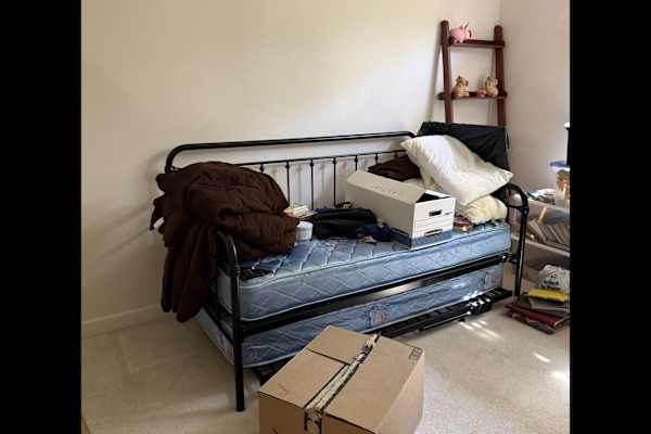 House sit in Sarasota, FL, US