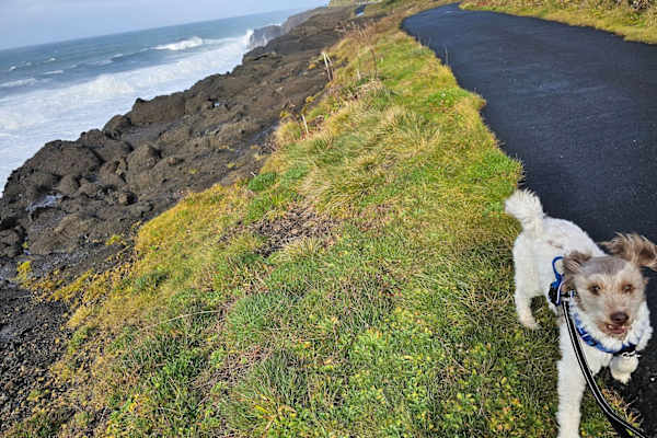 House sit in Depoe Bay, OR, US