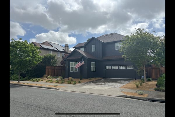 House sit in Petaluma, CA, US