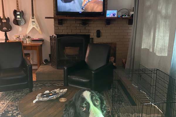 House sit in Big Bear City, CA, US
