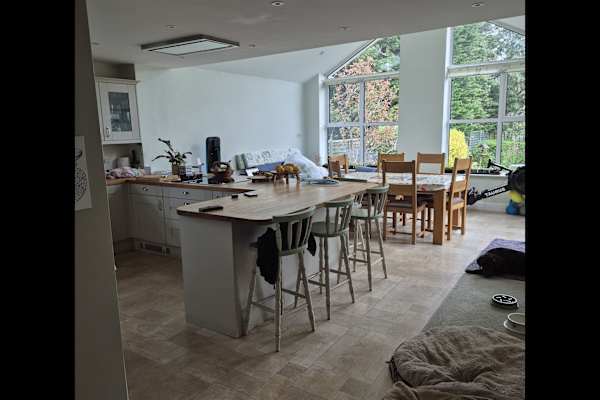 House sit in Guildford, United Kingdom