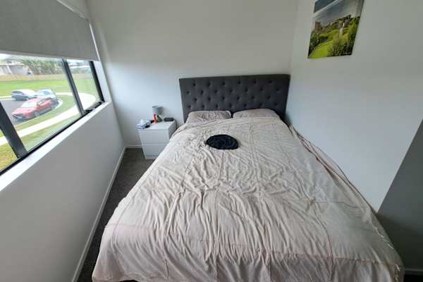 House sit in Auckland, New Zealand