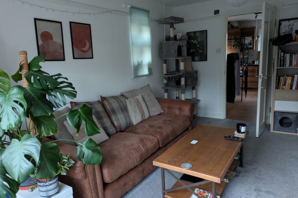 House sit in Manchester, United Kingdom