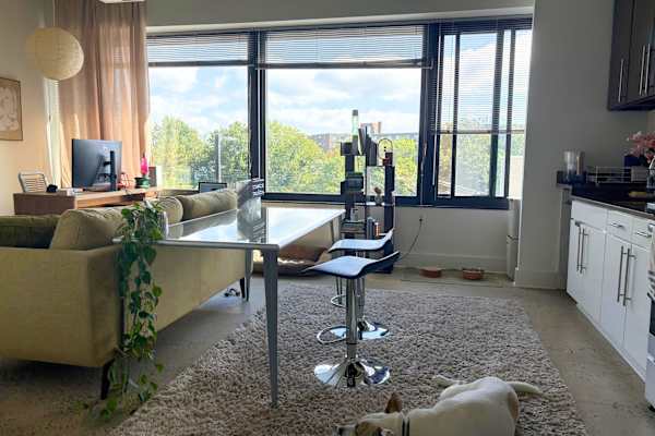 House sit in Falls Church, VA, US