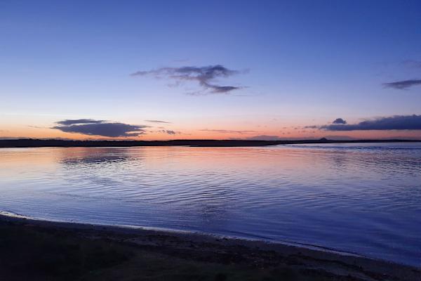 House sit in Dunbar, United Kingdom
