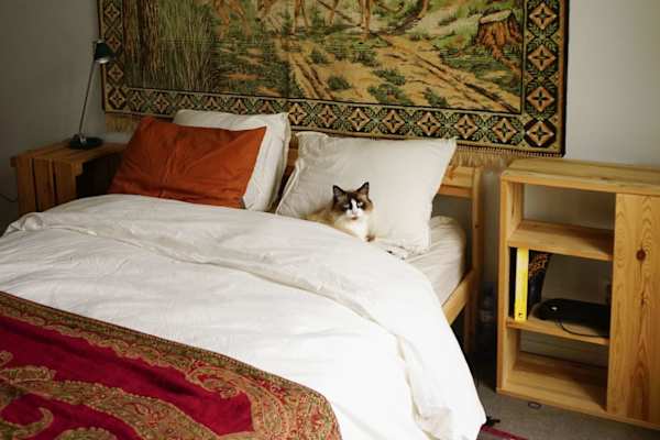 House sit in Helsinki, Finland