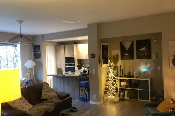 House sit in Brussels, Belgium