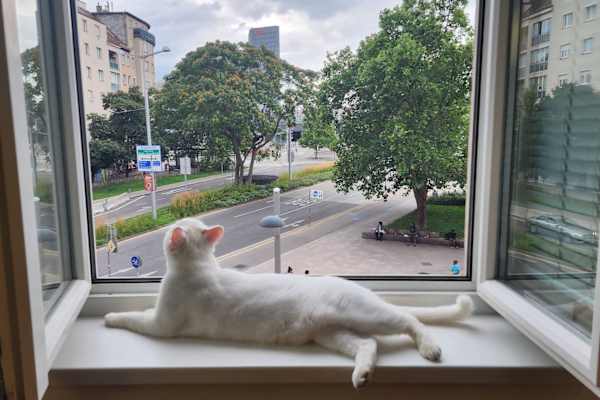 House sit in Vienna, Austria
