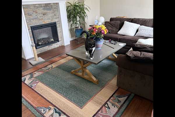 House sit in Dover, NH, US