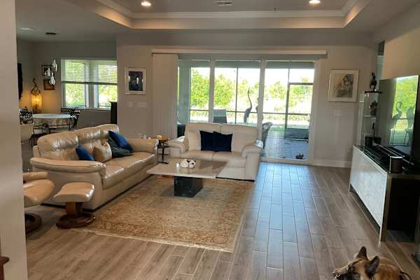 House sit in Sarasota, FL, US