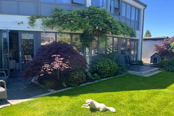 House sit in Dundrum, Ireland