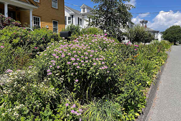 House sit in Lee, MA, US