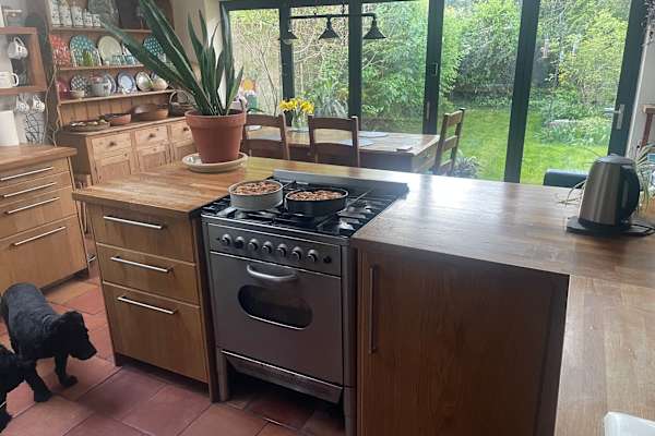 House sit in Southampton, United Kingdom