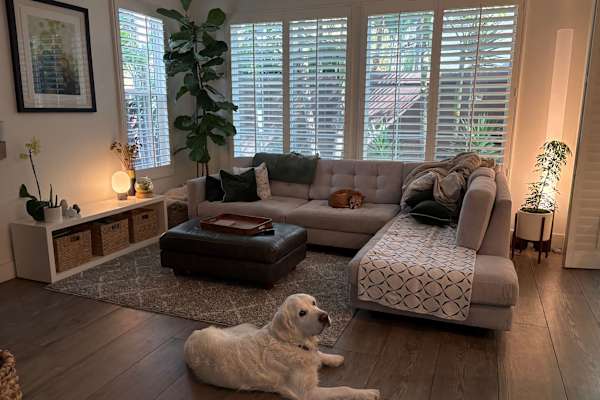 House sit in Encinitas, CA, US