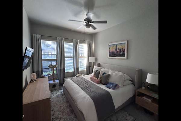 House sit in Dallas, TX, US