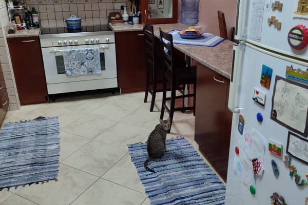 House sit in Dubai, United Arab Emirates