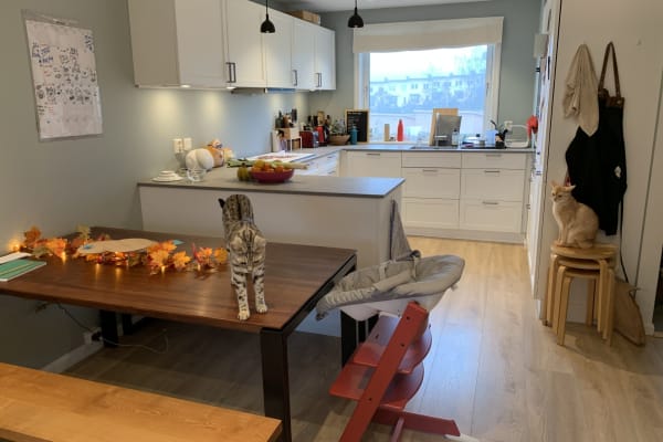 House sit in Oslo, Norway