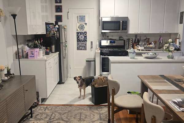 House sit in Forest Hills, NY, US