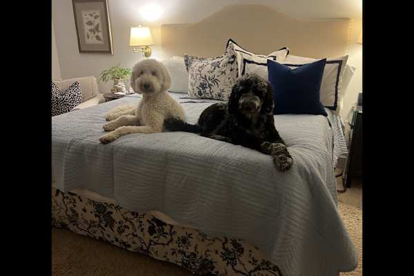 House sit in Mint Hill, NC, US